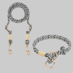 Belt + Collar - Black