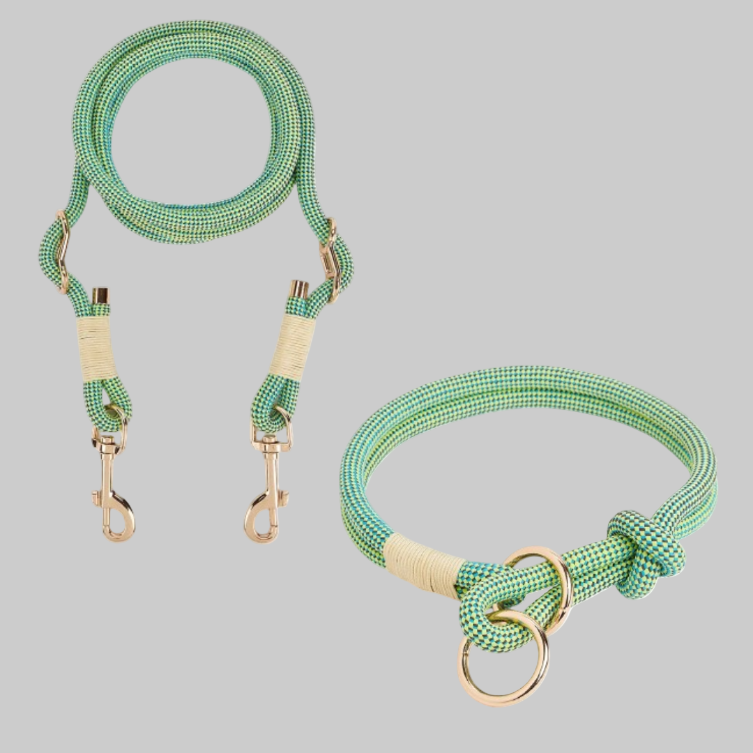 New4 hands-free dog leash showcasing its strong construction and comfortable waist attachment for easy dog walking.