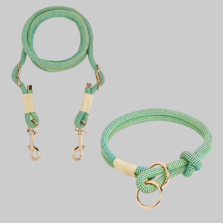 New4 hands-free dog leash showcasing its strong construction and comfortable waist attachment for easy dog walking.
