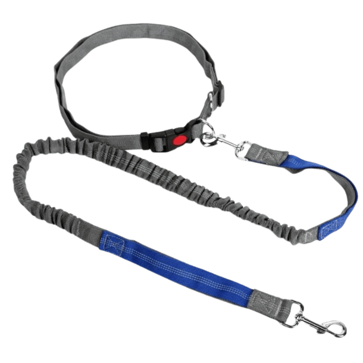 Unisex hands-free retractable dog leash with waist belt, reflective for safe jogging & walking