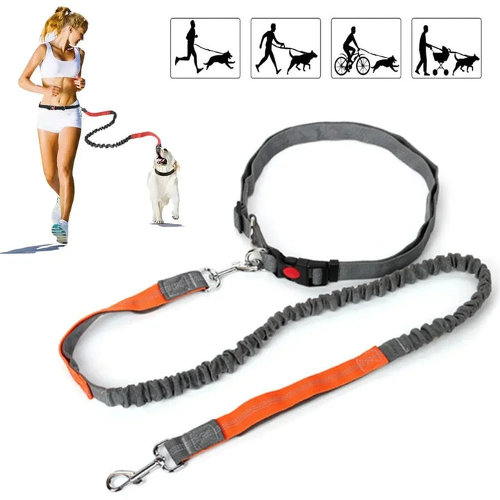 Durable hands-free dog leash and waist belt for comfortable walking and running with your pet