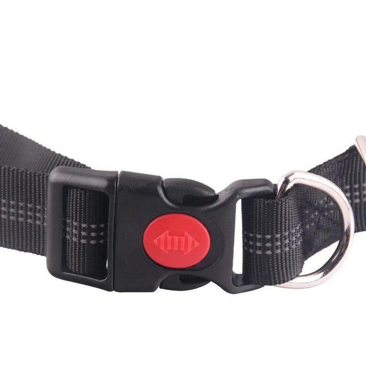 Retractable dog leash with adjustable waist belt, perfect pet accessory for active owners