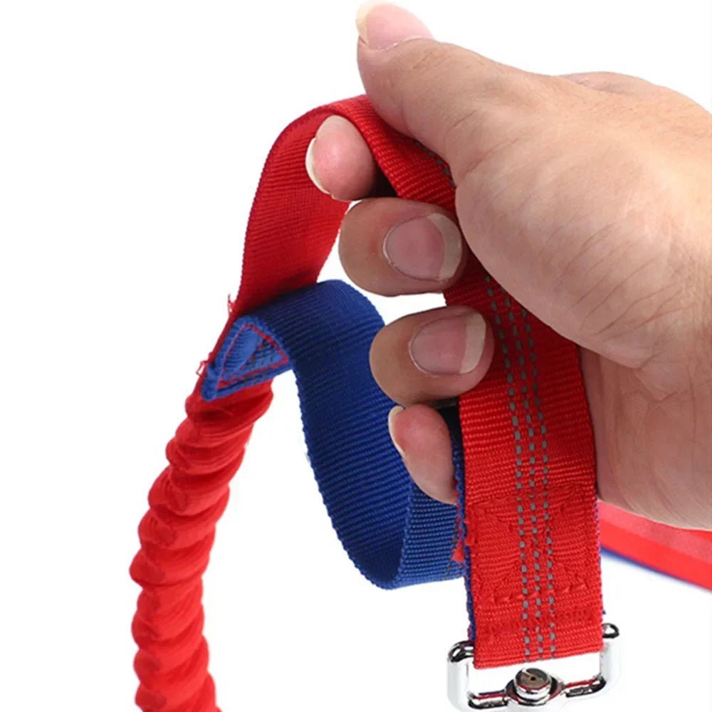 Reflective hands-free dog leash, ideal jogging leash for unisex pet owners, ensuring visibility