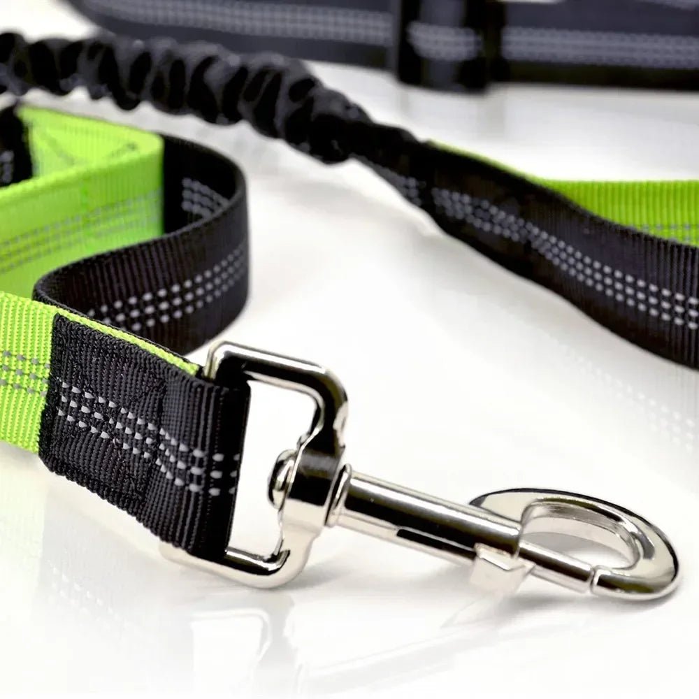 Close-up of the durable retractable mechanism on the hands-free dog leash and waist belt