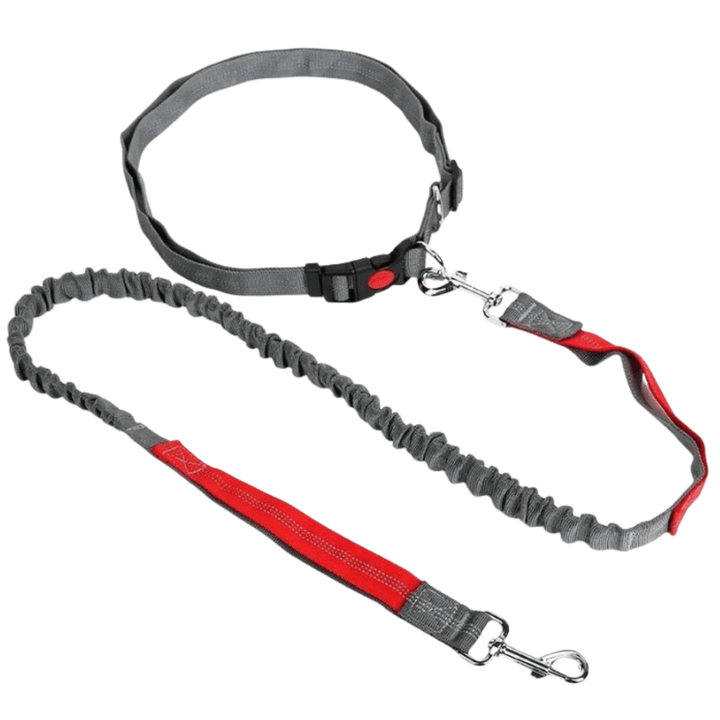 Unisex waist leash with a comfortable adjustable belt and strong retractable dog lead