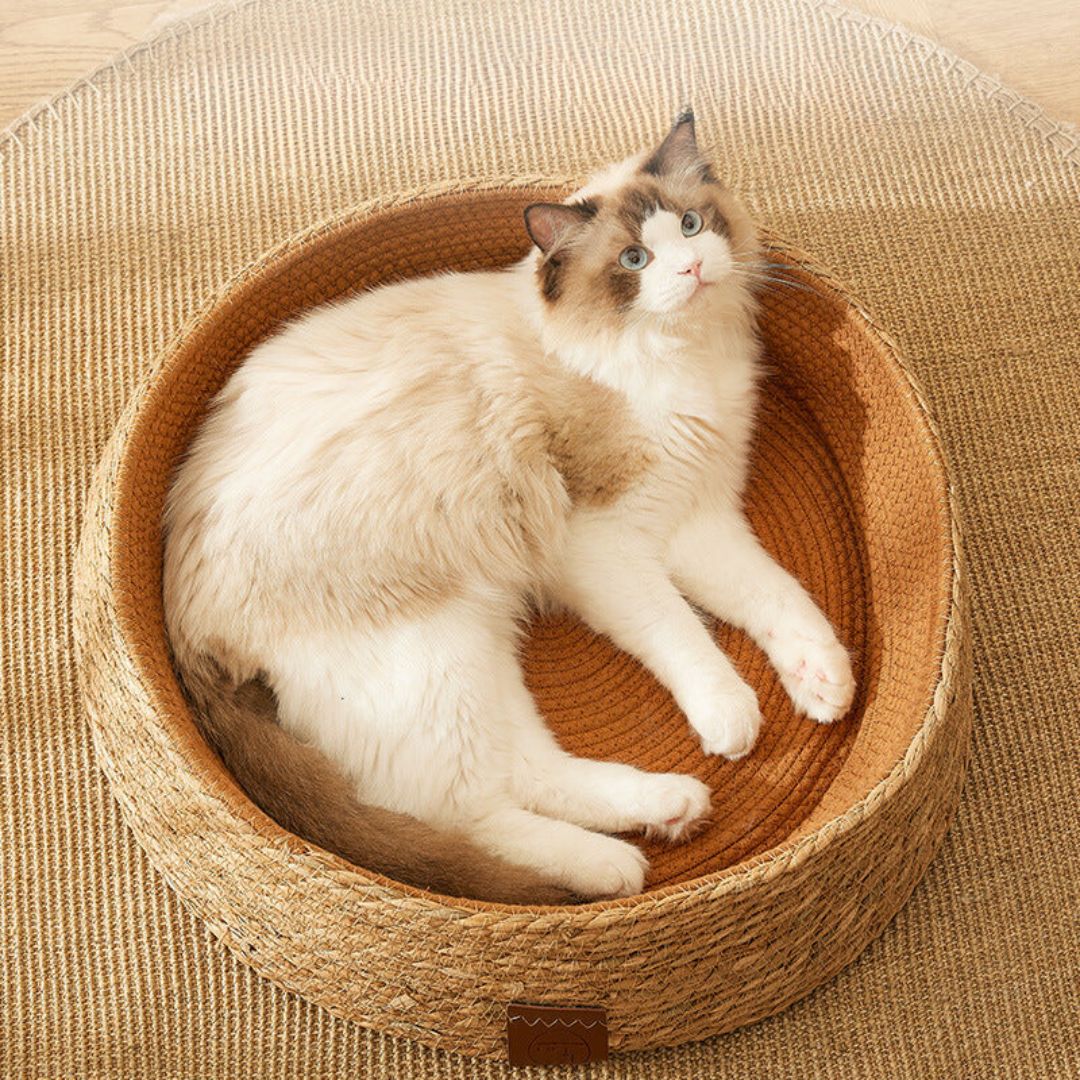 Unisex handwoven rattan cat scratching bed with cushion, eco-friendly pet furniture for comfort