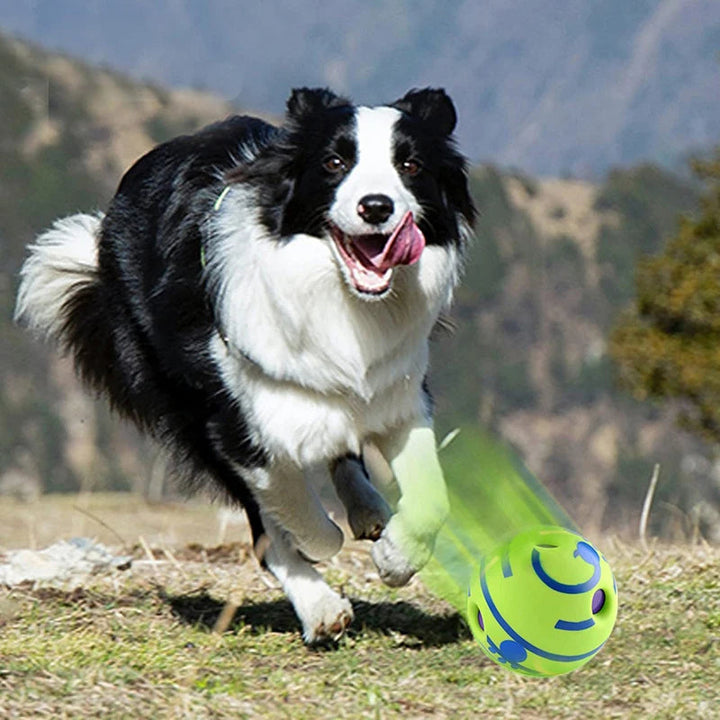 Interactive dog toy, Giggle Ball providing endless fun for dogs of all sizes