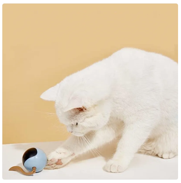 A cat playing enthusiastically with a glowing spherical LED interactive toy in a living room