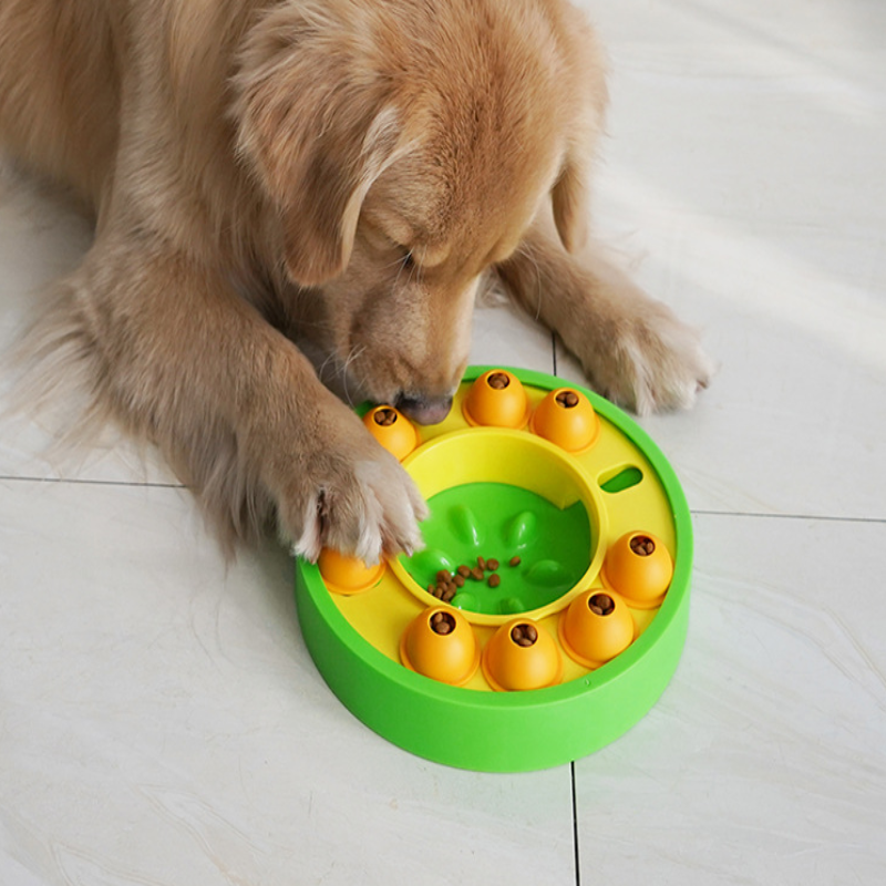 Interactive pet cat bowl, a slow feeder design in durable blue plastic for healthy eating