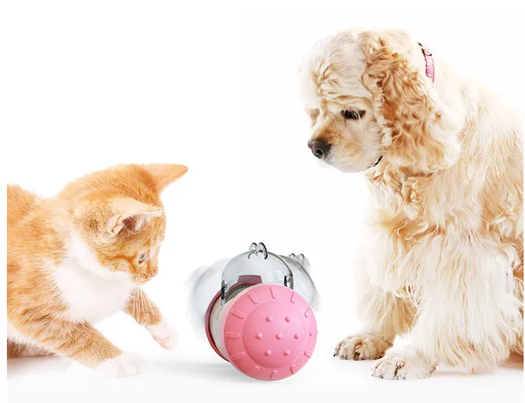 Dog playing with a yellow interactive treat dispenser toy, promoting mental stimulation.