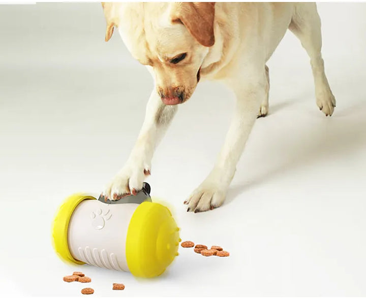 Interactive dog toy for pet health, designed to dispense treats during play.