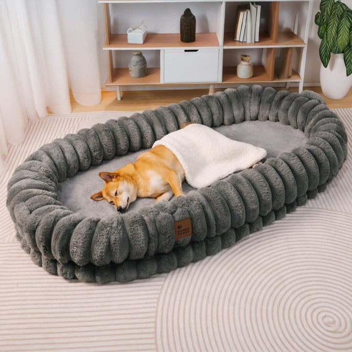 Plush large cat bed, calming cuddle design, orthopedic support for elderly or anxious pets.
