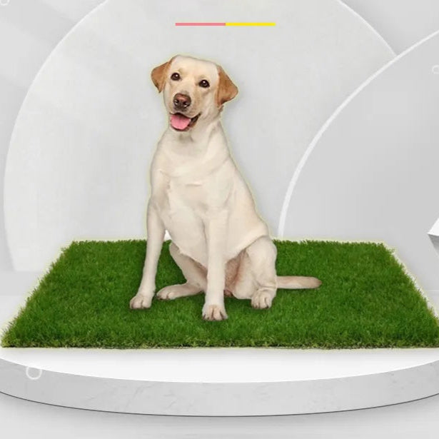 Unisex leak-proof artificial grass dog toilet mat for puppy potty training, indoor dog solution.