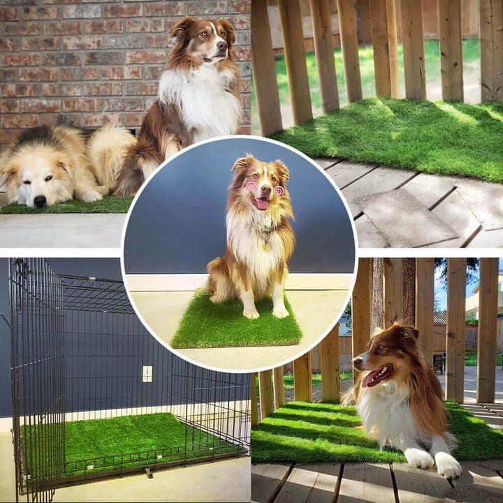 Dog waste disposal system featuring artificial grass dog toilet mat, ideal for puppy training.