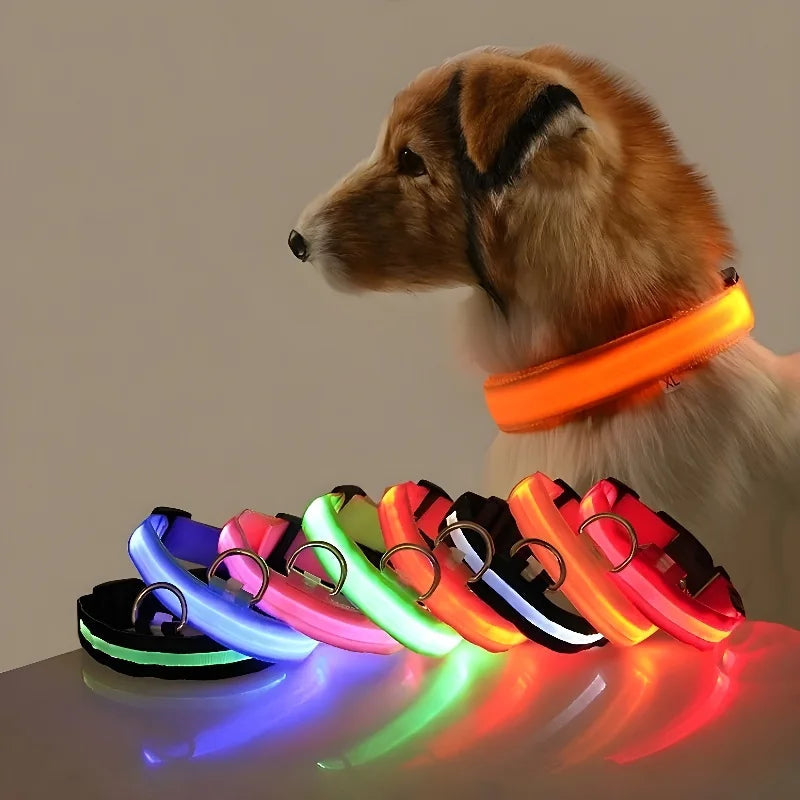 Adjustable LED dog collar, luminous green, ensuring pet safety during evening walks; durable design.