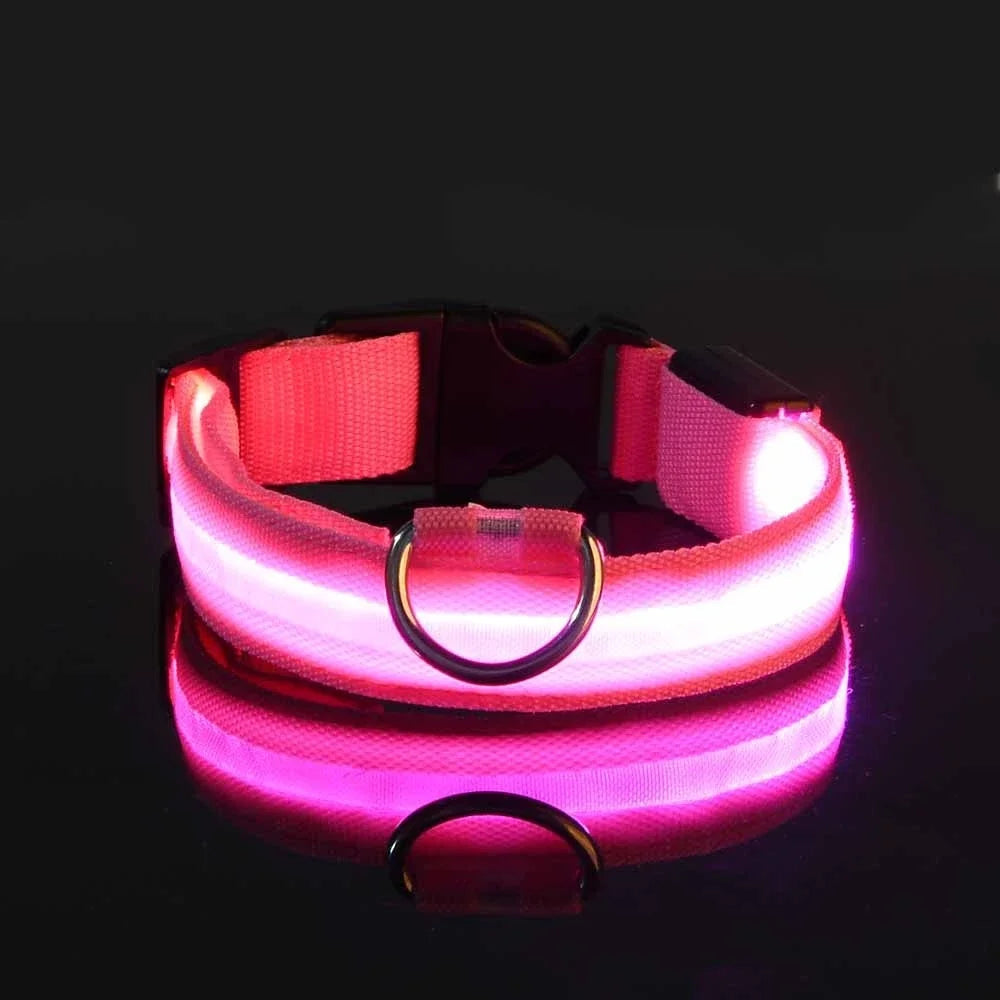 Fluorescent pink LED dog collar for enhanced night safety, a glowing, durable pet accessory.