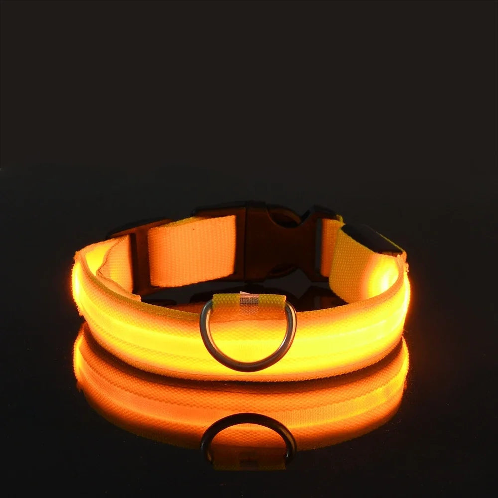 Red LED dog collar, a bright pet accessory for night walking, offering high visibility and safety.