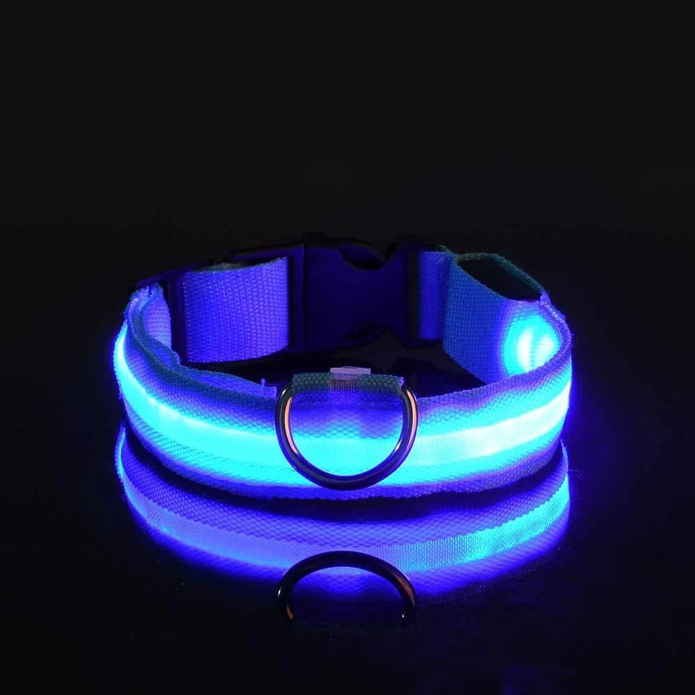 Unisex LED dog collar with multiple color options, glowing for optimal night safety on walks.