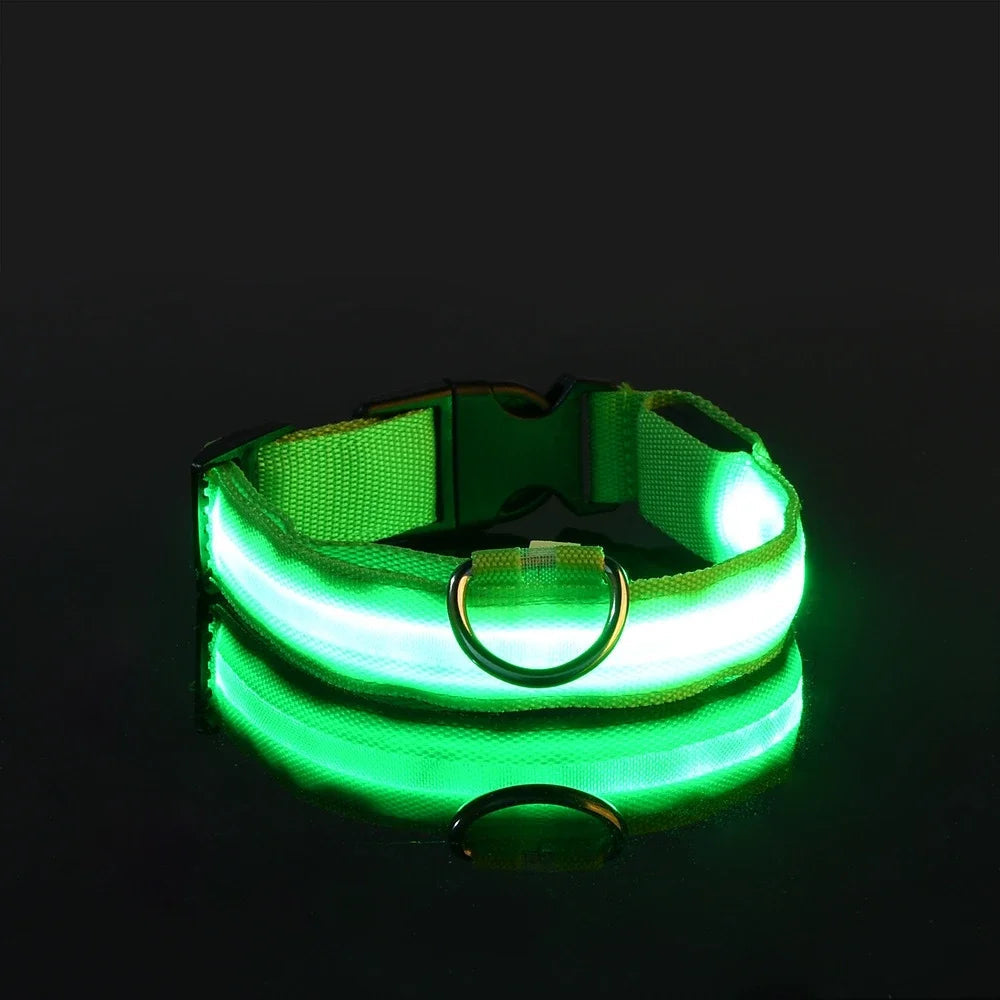 Pet accessory: Luminous LED dog collar, perfect for nighttime safety and visibility during dog walking.