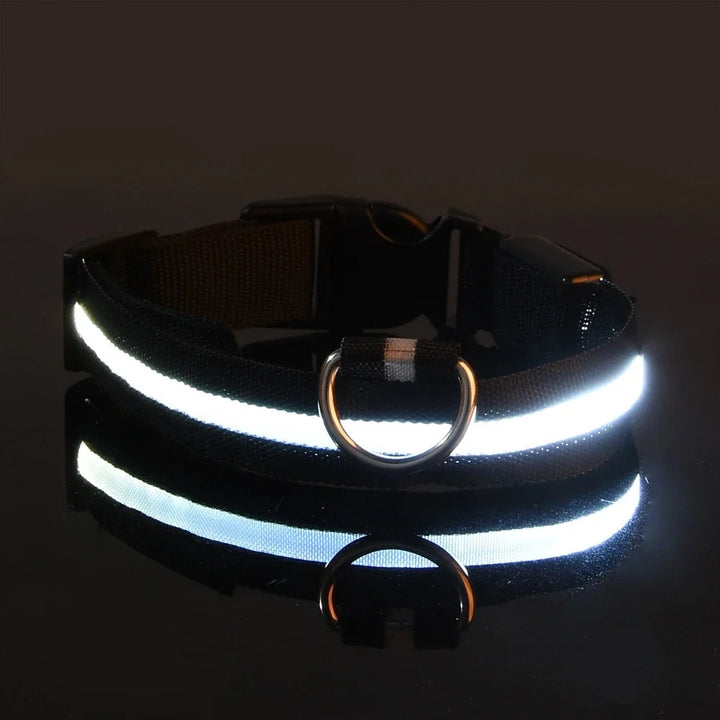Bright yellow LED dog collar, an essential night safety pet accessory for secure dog walking.