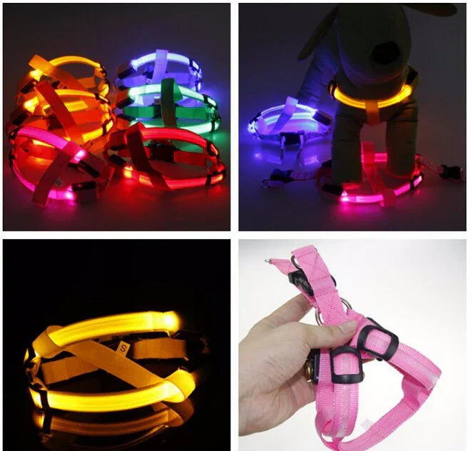 Unisex LED dog safety harness, rechargeable, for night walks, showing bright illumination on a dog
