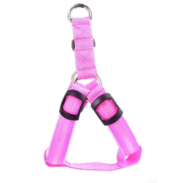 Front view of a dog in a neon green LED pet safety harness, perfect for night walking