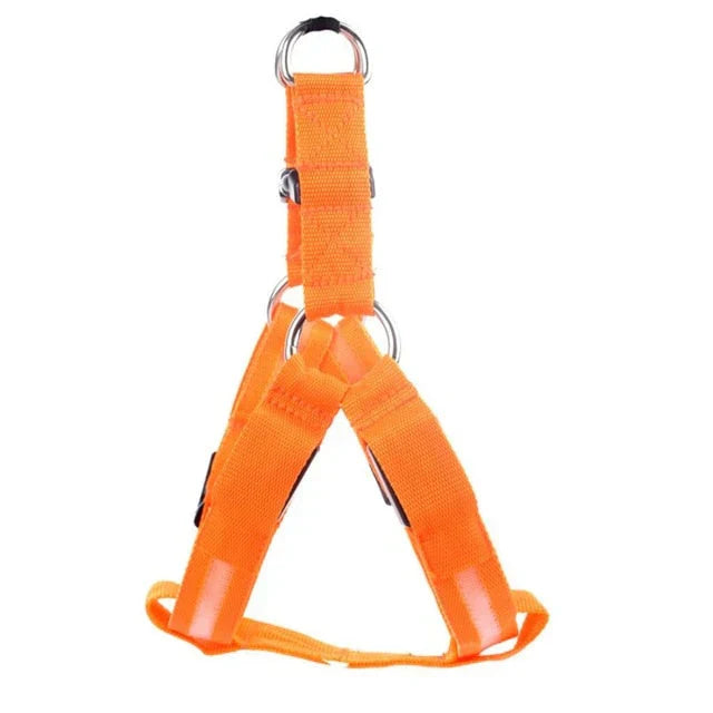 Detail of the LED strip on a unisex dog safety harness, highlighting its bright illumination feature