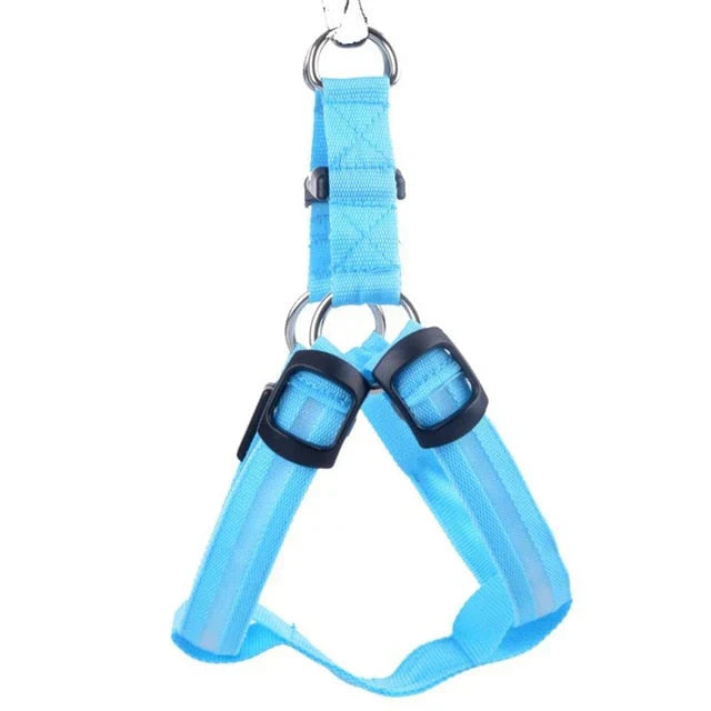 Unisex pet LED harness for dogs, showcasing its durable material and easy-to-use buckle