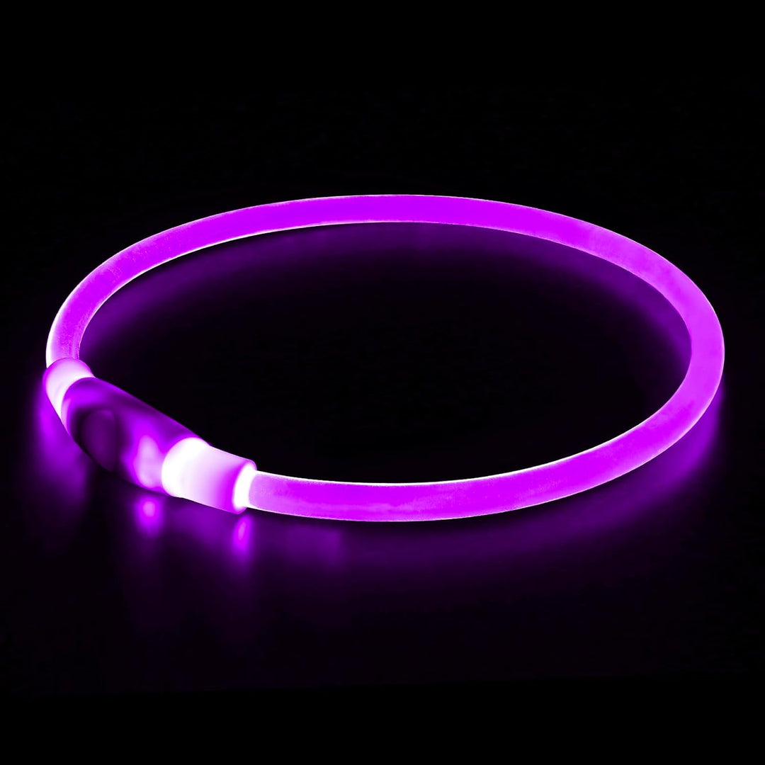 Close-up of a USB rechargeable LED pet safety collar, perfect for night visibility