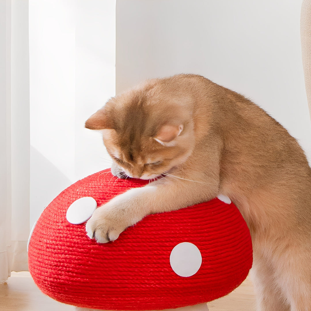 Cute mushroom design cat scratcher, a fun pet furniture accessory and play station for cats