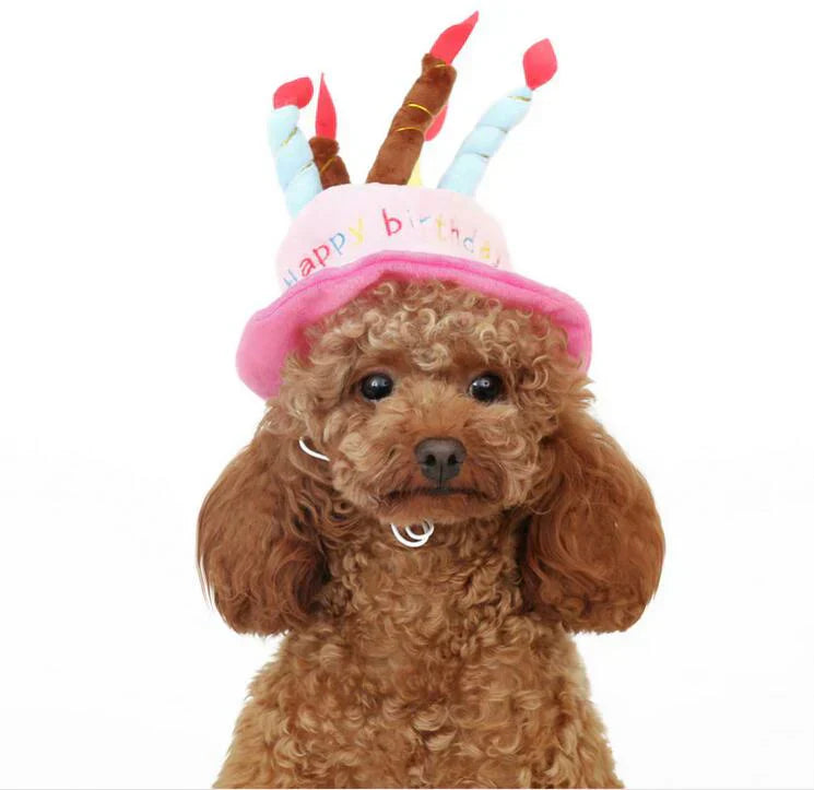 Unisex pet birthday party hat for dogs or cats, festive and colorful, celebrating pet's special day