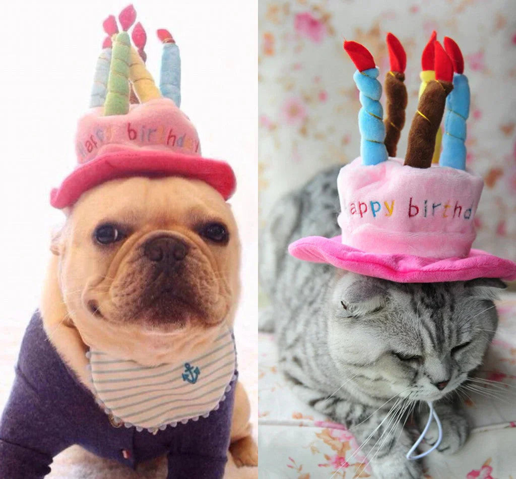Cute pet party hat with 'Happy Birthday' embroidery, perfect pet accessory for dog or cat celebration