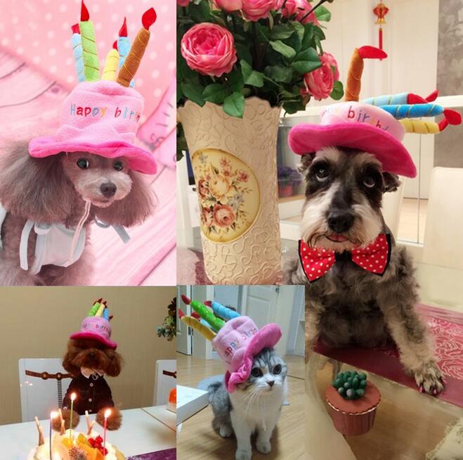 Adorable pet birthday hat, a unisex accessory for dogs or cats to wear as a party animal costume