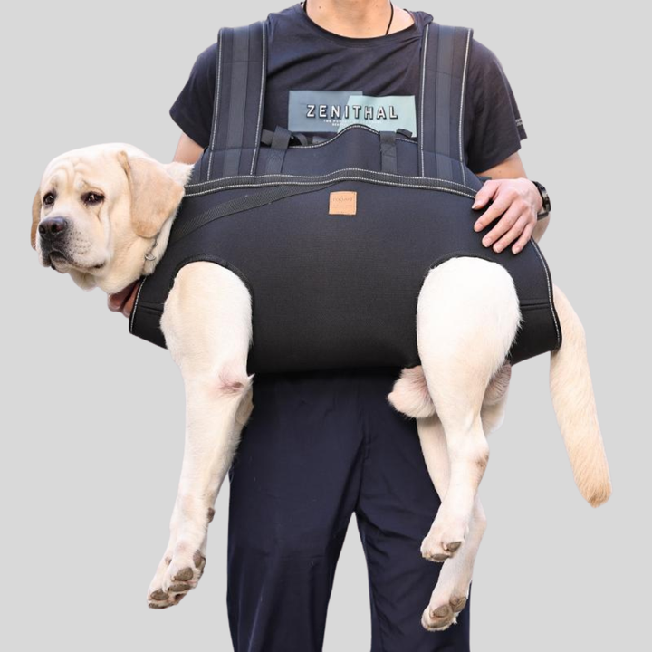 Unisex pet carrier backpack for medium to large dogs, ventilated for travel, outdoor adventures