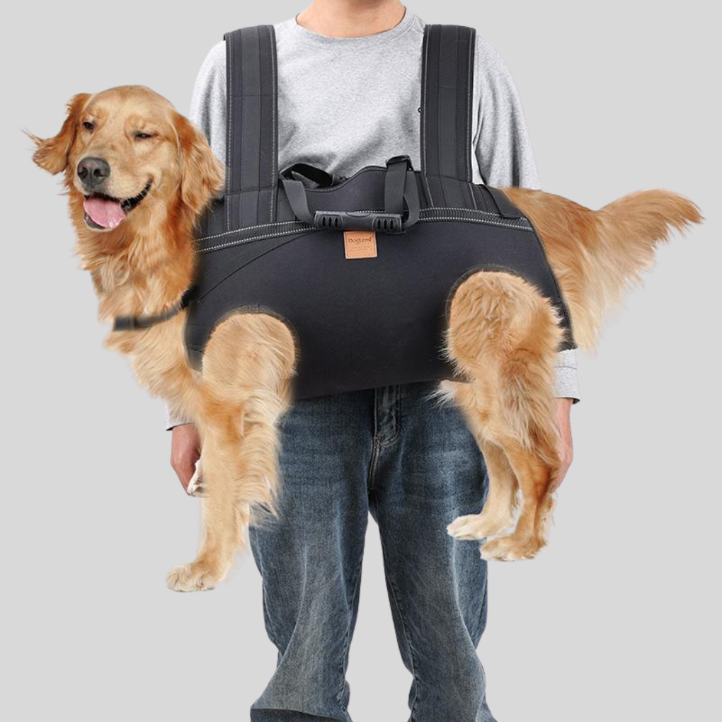 Portable dog travel backpack for outdoor pet adventures, multifunctional, suitable for medium and large dogs