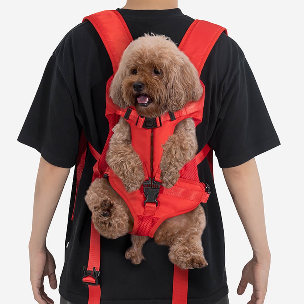 Small dog in a grey pet carrier backpack, ready for travel and outdoor adventures, comfortable pet transport