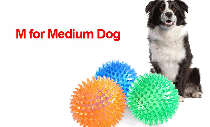 Green pet chew ball toy floating in water, demonstrating its buoyancy for water play with dogs.