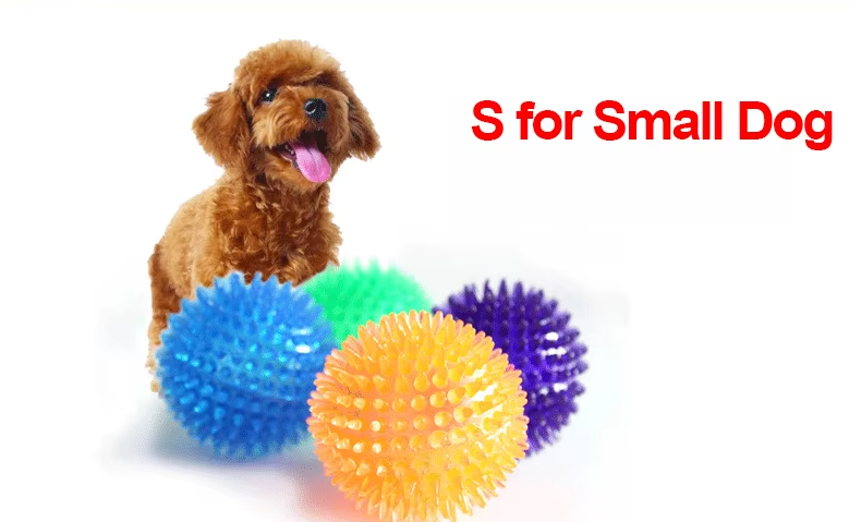 Dog owner throwing a green pet chew ball, engaging in interactive play with their canine companion.
