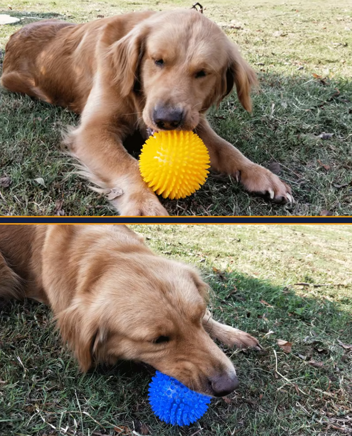 A collection of colorful pet chew ball toys, with a focus on the green dental care model for dogs.