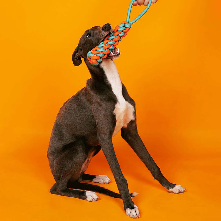 Assorted pet chew rope toys for dogs, perfect for puppies & aggressive chewers, promotes dental health