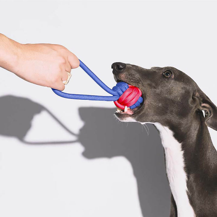 Close-up of a braided pet chew rope toy, durable dog toy for fetching and tugging