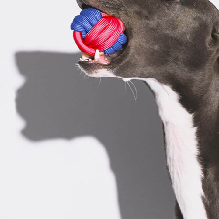Durable pet chew rope toys designed for puppies and adult dogs, strengthens gums & cleans teeth