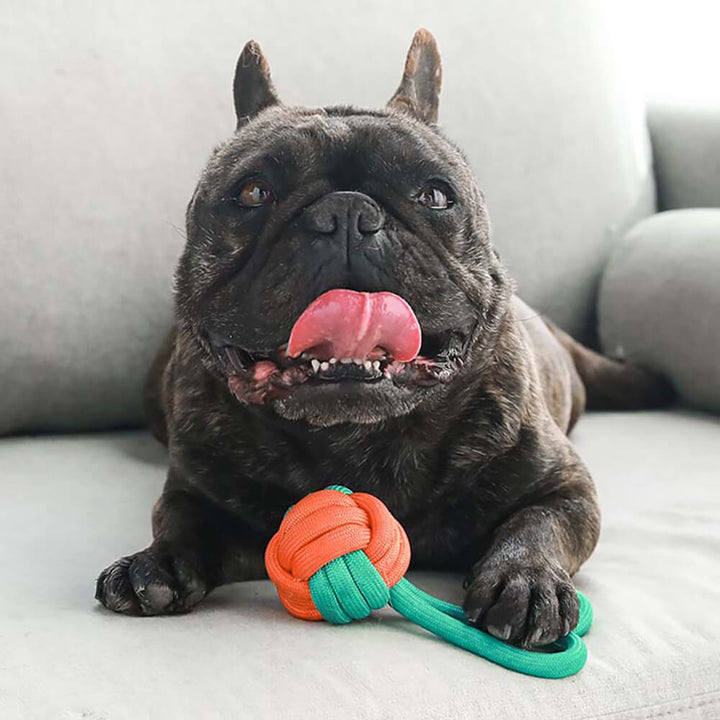 Unisex pet chew rope ball toy, robust and interactive for dogs, helps with teeth cleaning
