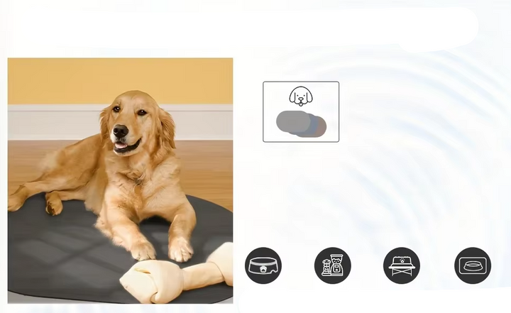 Unisex pet feeding mat, waterproof non-slip silicone, grey, for dog & cat food bowls
