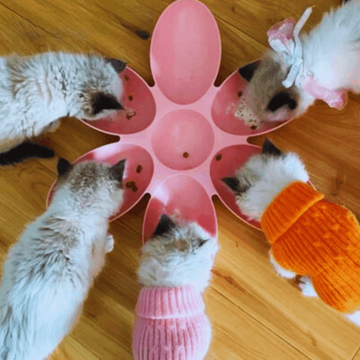 Unisex pet flower-shaped slow feeder dish, 6 bowls, for multiple cats or small dogs, easy clean design