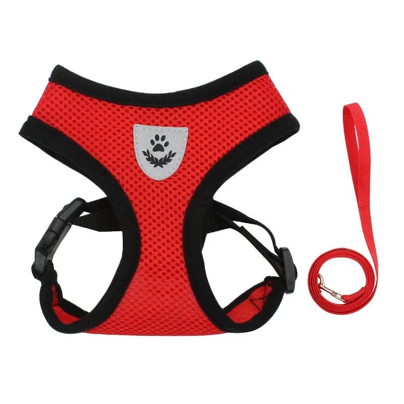 Ergonomic pet harness providing comfortable fit and control, suitable for dog walking training