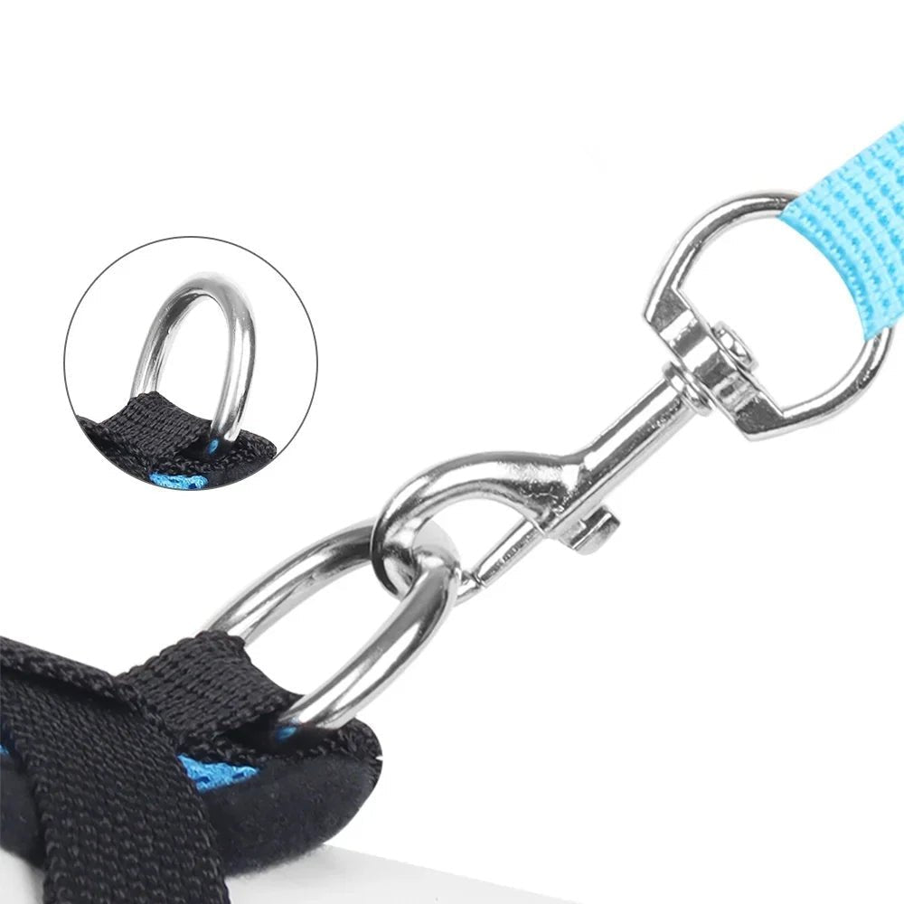 Durable pet harness with secure buckle and D-ring for leash attachment, ideal for dogs & cats
