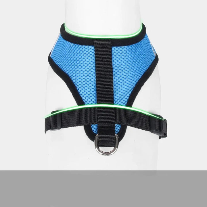 Top-down view of black pet harness, showing reflective accents and strong leash connector