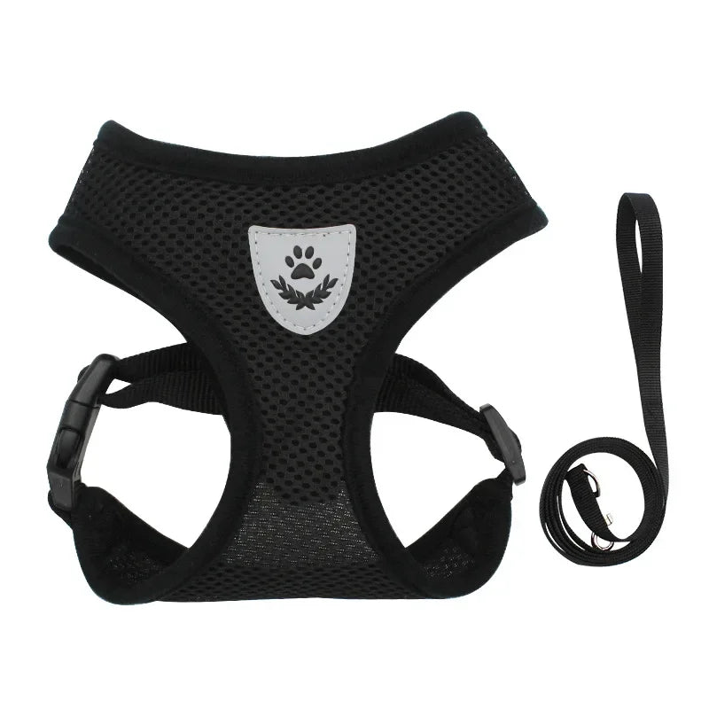 Lightweight unisex pet harness and leash combo, perfect for small to medium dogs and cats