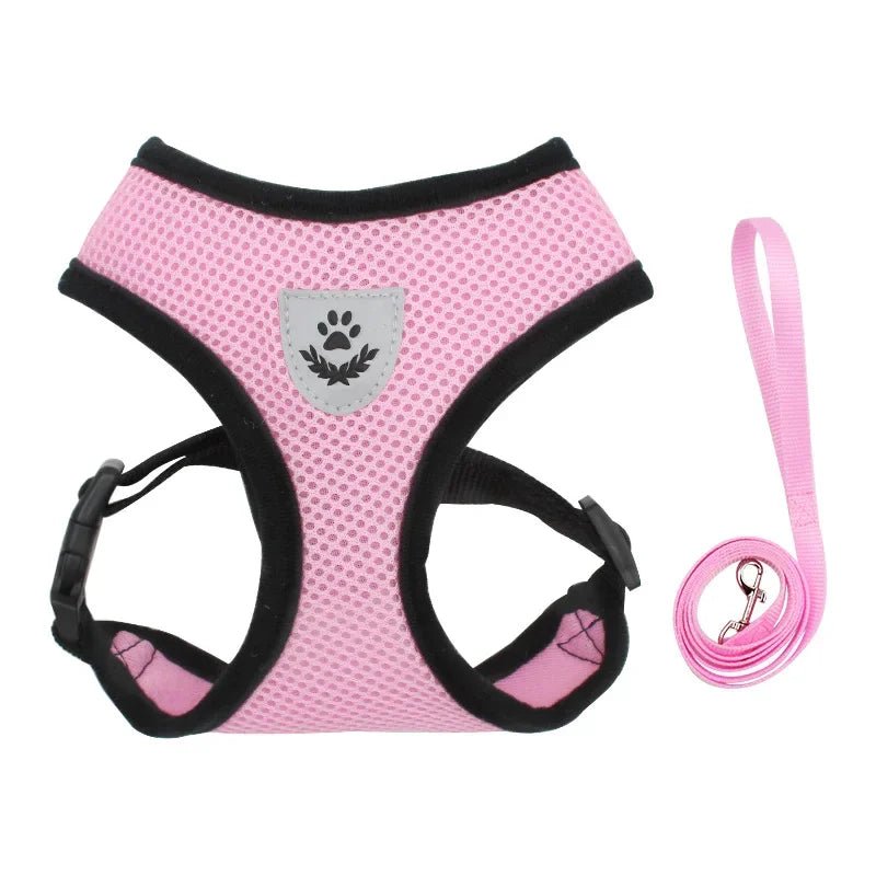 Pet safety harness with leash, featuring easy-on design and breathable material for all pets